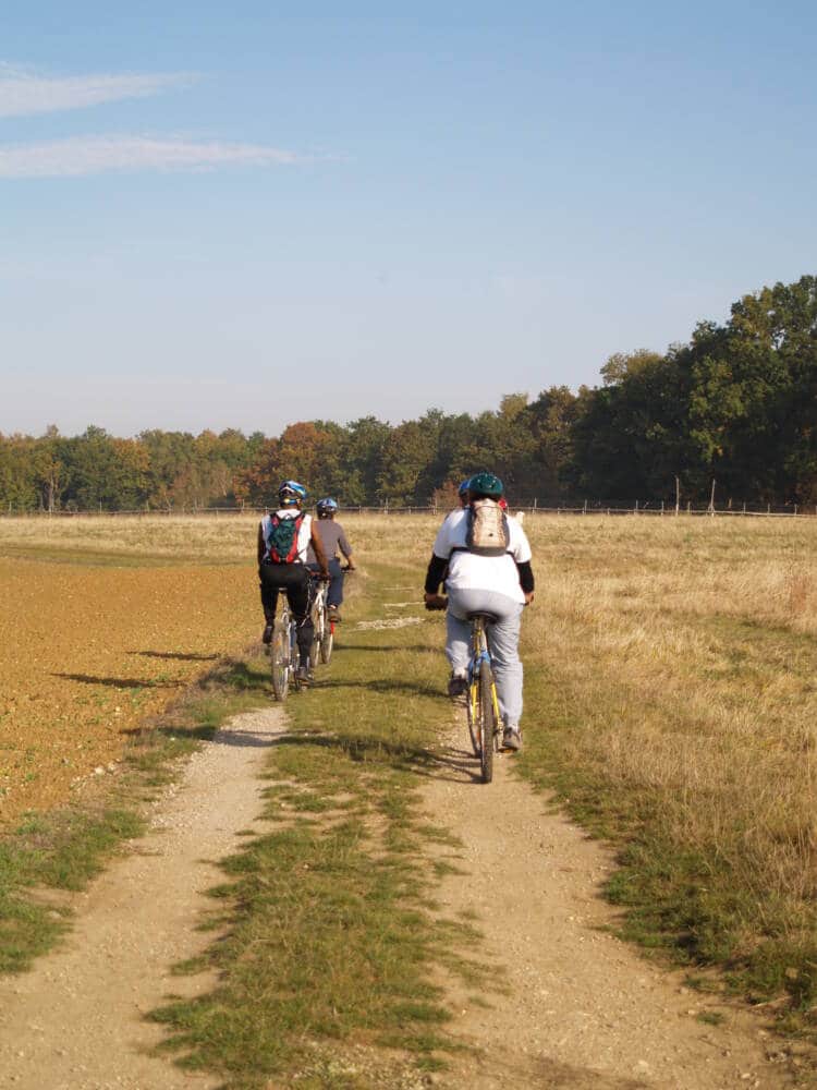 Caminhada - andar de bicicleta