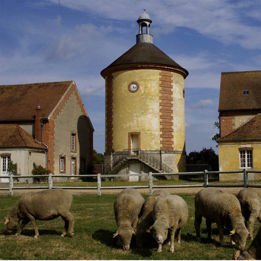 Colombaia ovile nazionale ©OTRT - Ufficio del turismo di Rambouillet