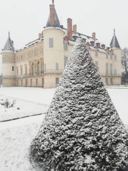 Chateau - Rambouillet - hiver - neige - sapin