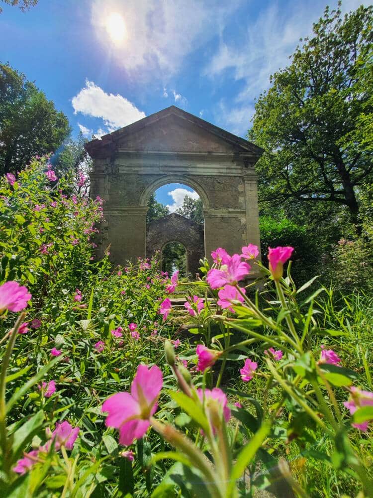 Etang - Saint-Hubert - Les étangs de Hollande - fleurs