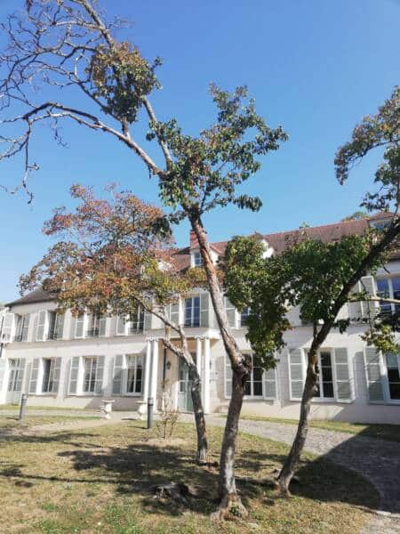 Wintergarten – Gabriel Fauré – Hôtel de la Motte – Rambouillet