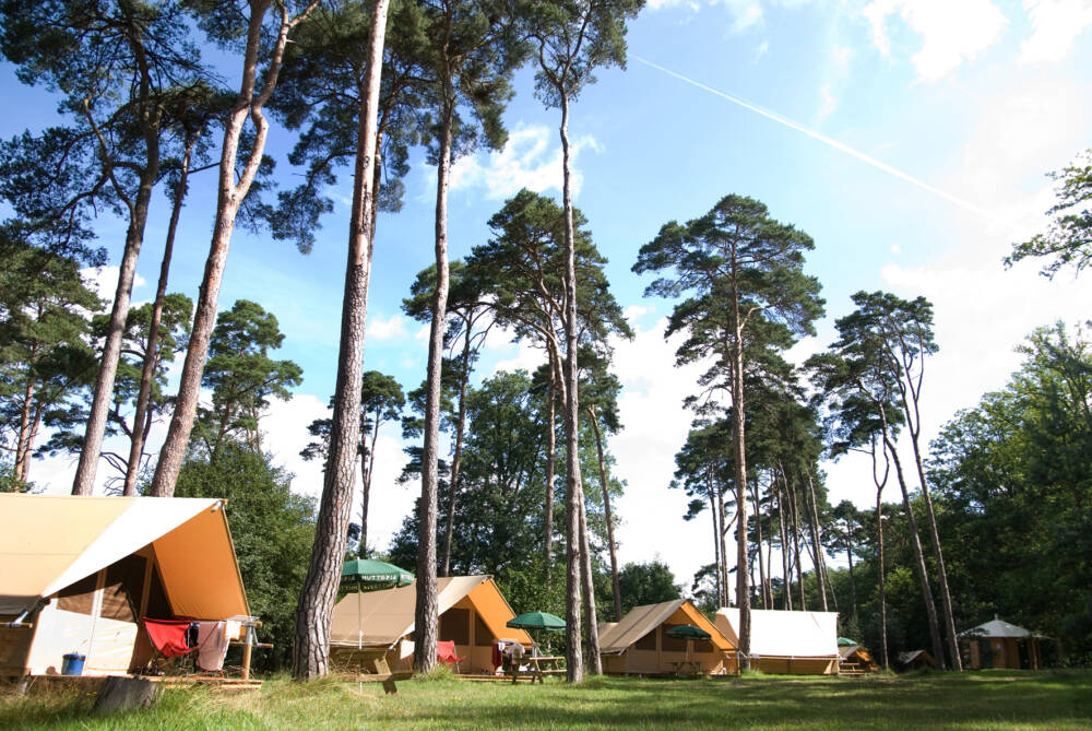 Camping - Huttopia - Tente canadienne - Forêt - Pins