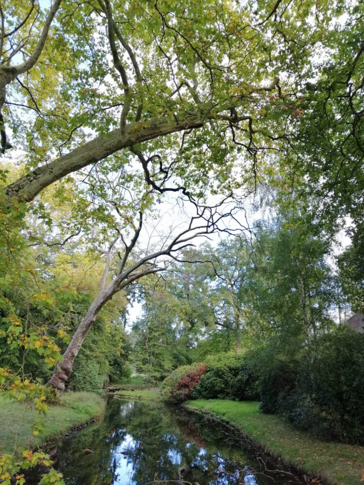 Domaine de Rambouillet - parque - canal - jardín inglés - cabaña con techo de paja