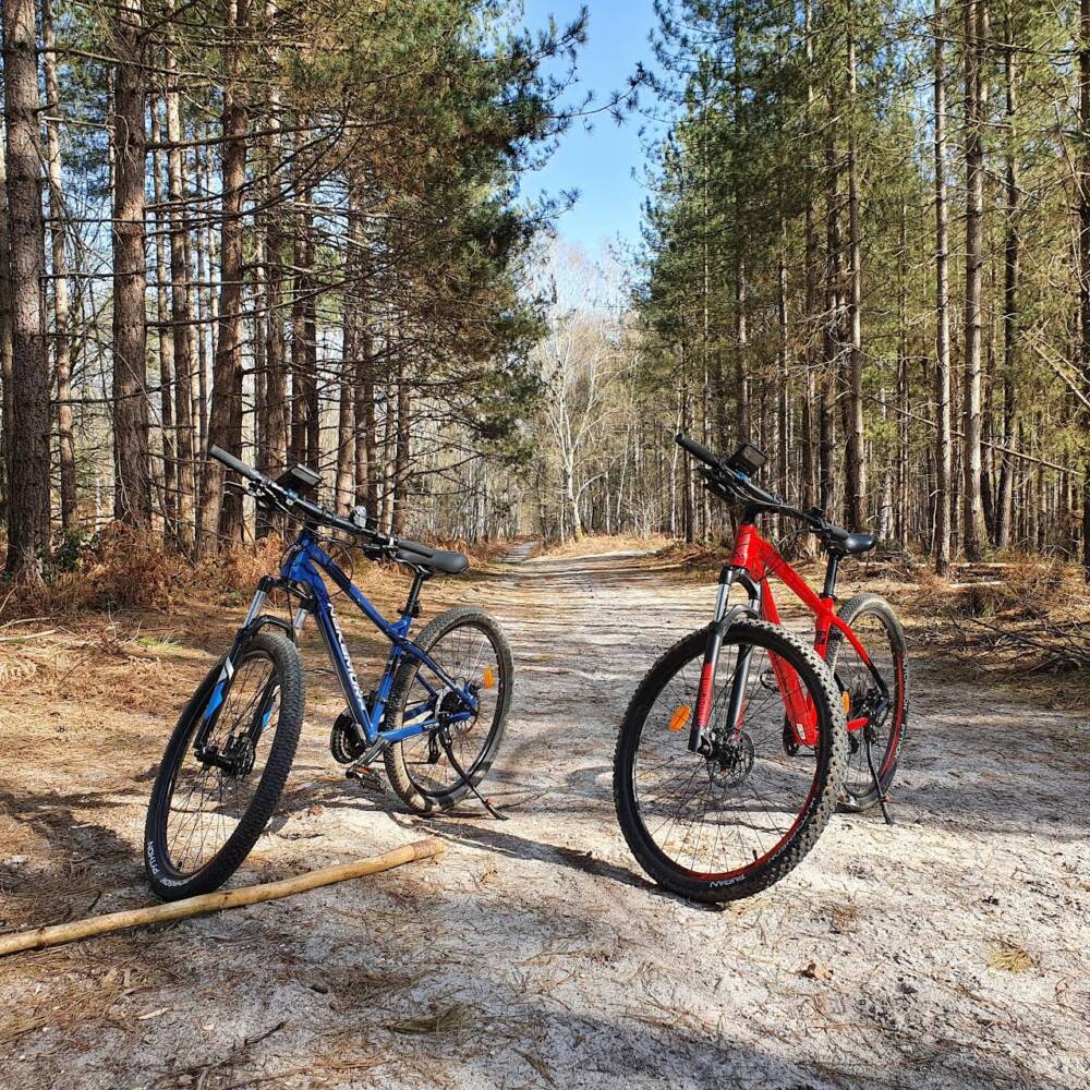 Alquiler de bicicletas ©Toc Toc - Oficina de Turismo de Rambouillet