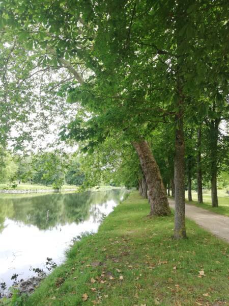 Domaine de Rambouillet - park - canal