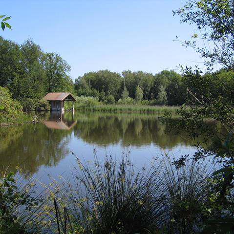 ボーナス自然保護区 - 池