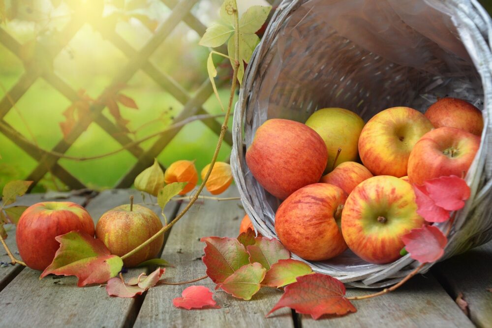 apples gbb3d7a1b1 1920 - Office de Tourisme de Rambouillet