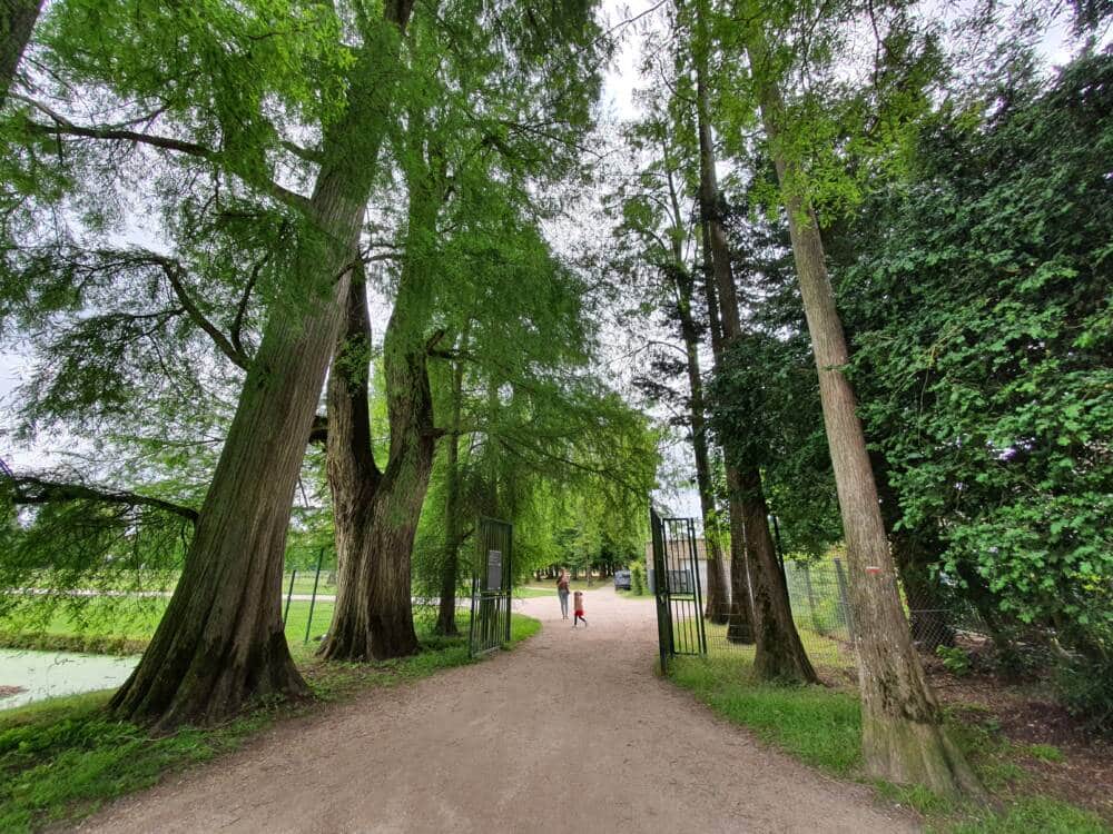 Rando conseil - Les fabuleux trésors du parc de Rambouillet