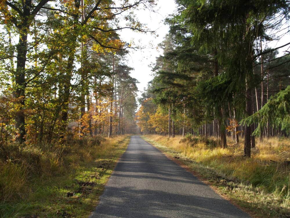 @Poigny la Foret Quelle Territorien von Rambouillet - Fremdenverkehrsamt von Rambouillet