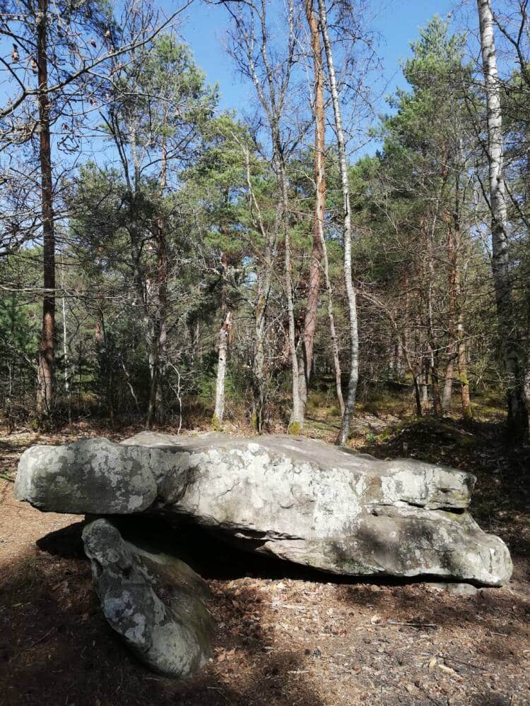 Wandertipps – Im Herzen des Waldes von Rambouillet in Saint-Léger-en-Yvelines