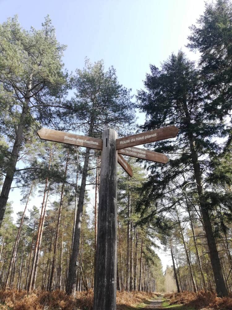 Consigli escursionistici – Nel cuore della foresta di Rambouillet a Saint-Léger-en-Yvelines