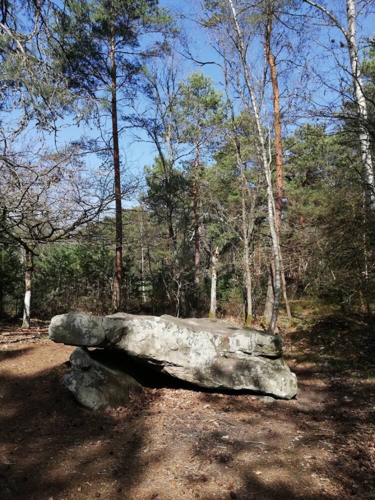 Le Dolmen de la Pierre Ardoue - Forêt - Rambouillet - Randonnée