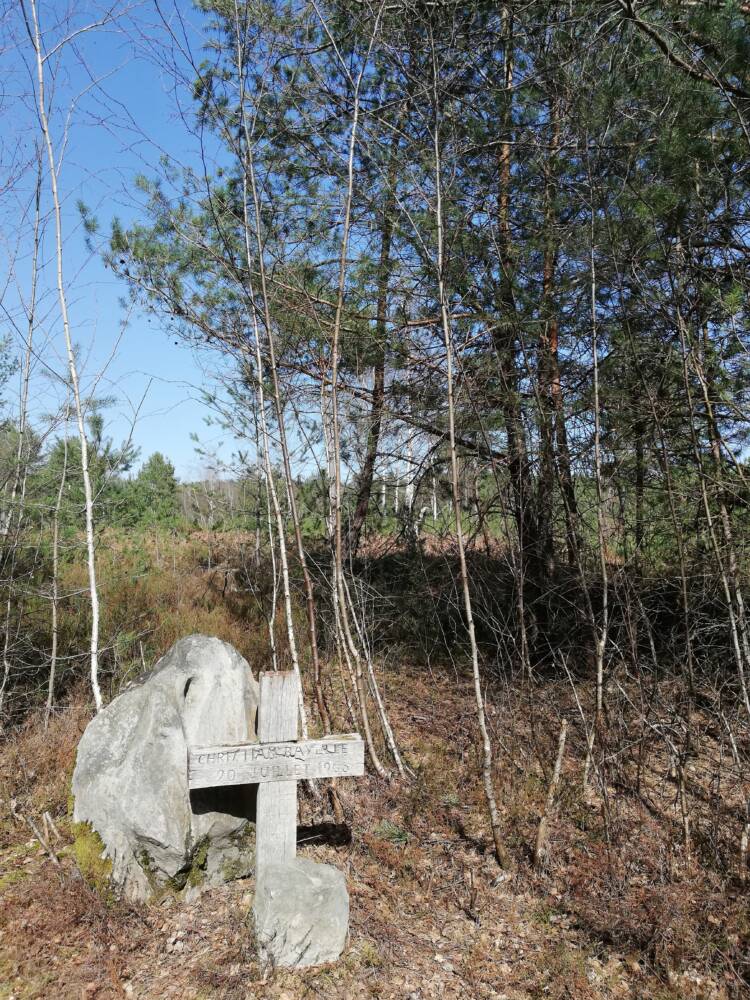 Rando conseil – Au cœur de la forêt de Rambouillet à Saint-Léger-en-Yvelines