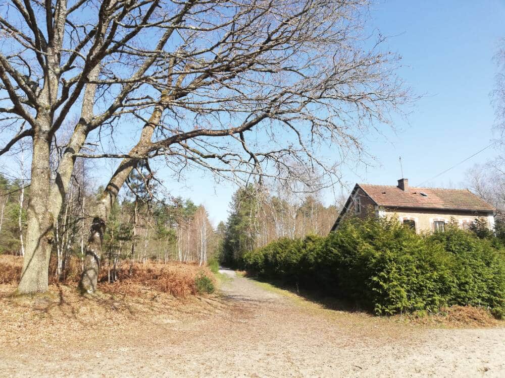 Rando conseil – Au cœur de la forêt de Rambouillet à Saint-Léger-en-Yvelines