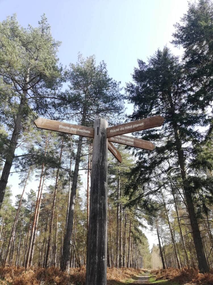 Rando conseil – Au cœur de la forêt de Rambouillet à Saint-Léger-en-Yvelines