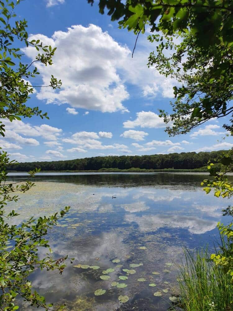 Attorno allo stagno di St Hubert ©OTCV 3 - Ufficio del turismo di Rambouillet