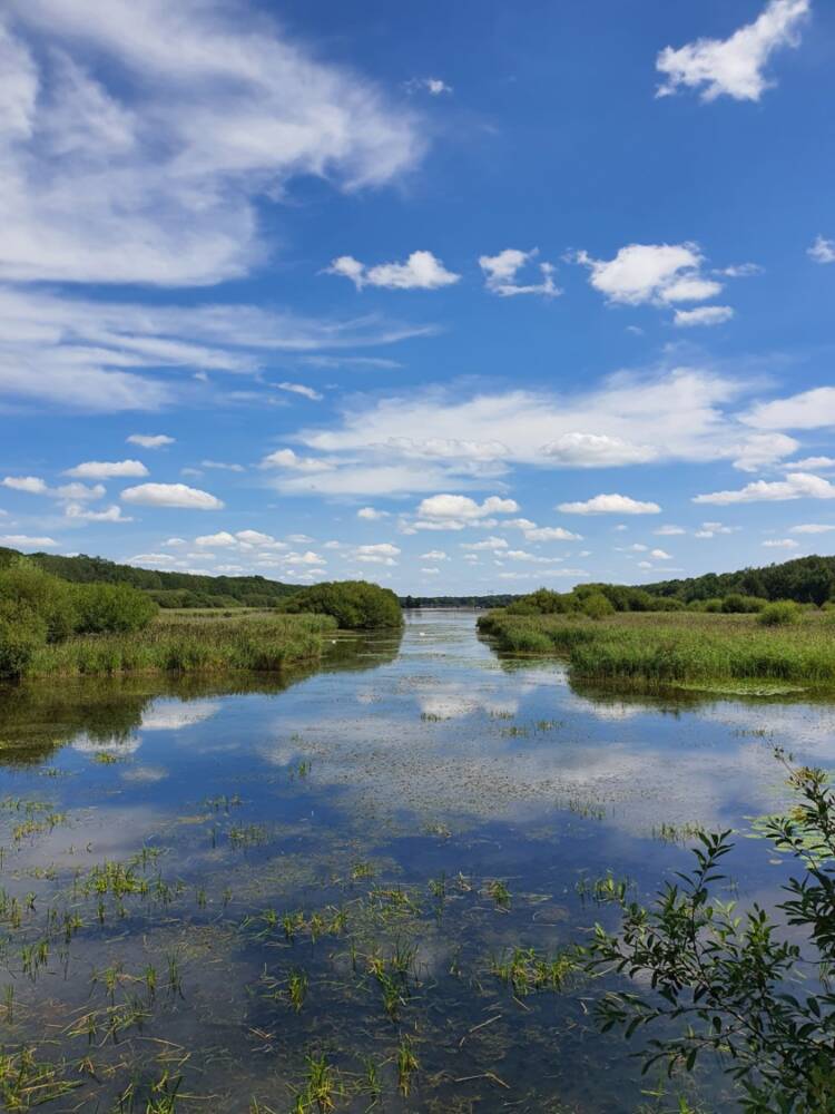 サンテュベール池周辺 ©OTCV 5 - Rambouillet Tourist Office