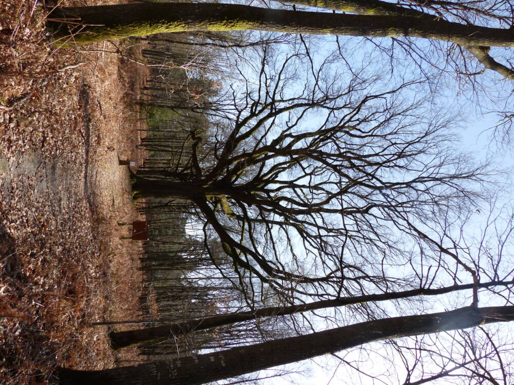 Rando conseil 3 circuits à Poigny-la-Forêt