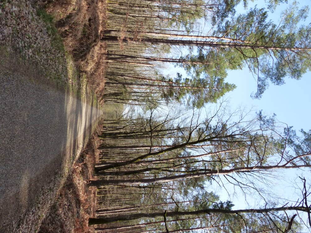 Rando conseil 3 circuits à Poigny-la-Forêt