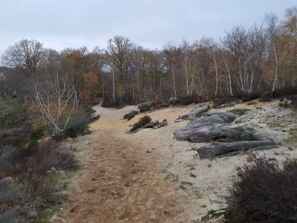 Consejos de senderismo - el circuito del castillo de Pinceloup en Sonchamp