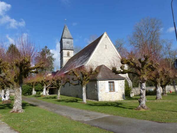 Consigli escursionistici 3 circuiti a Poigny-la-Forêt