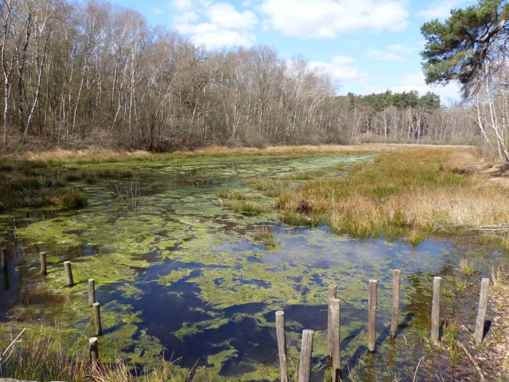 Wandertipps 3 Rundwege in Poigny-la-Forêt