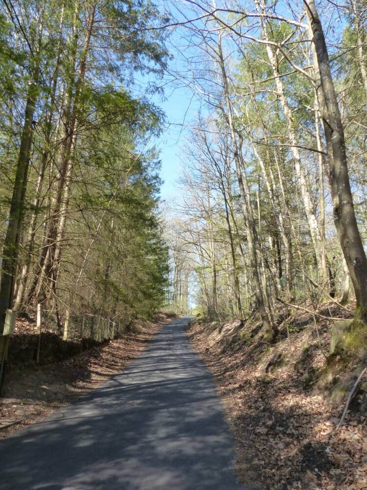 Rando conseil - Clairefontaine-en-Yvelines