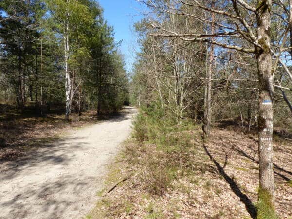 Rando conseil - Clairefontaine-en-Yvelines