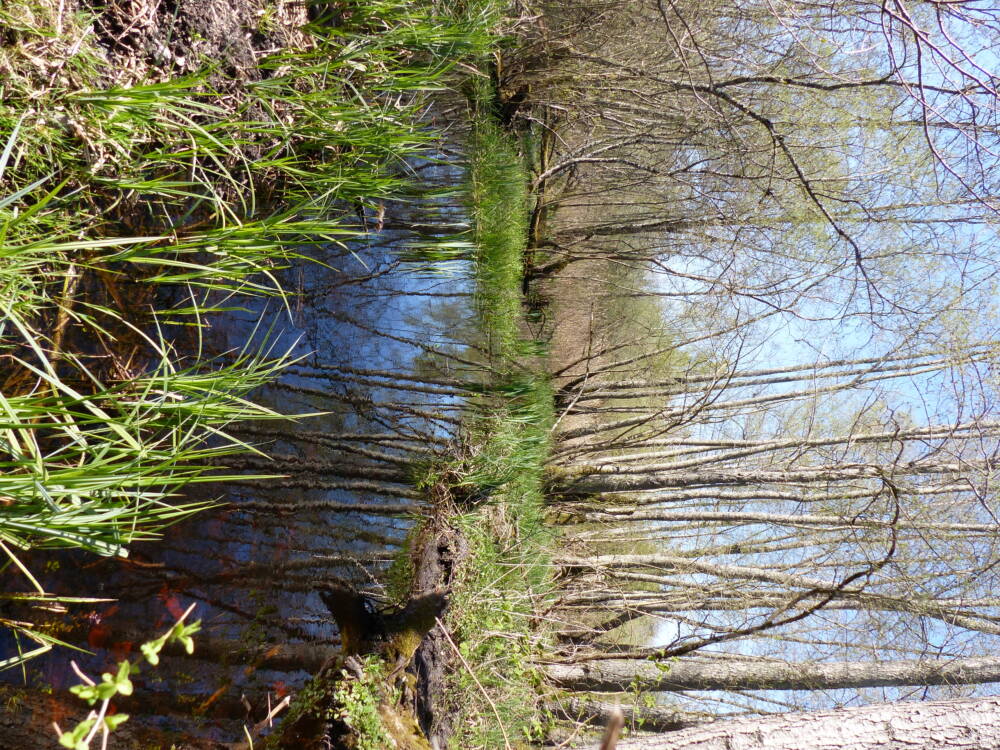 Rando conseil - Clairefontaine-en-Yvelines