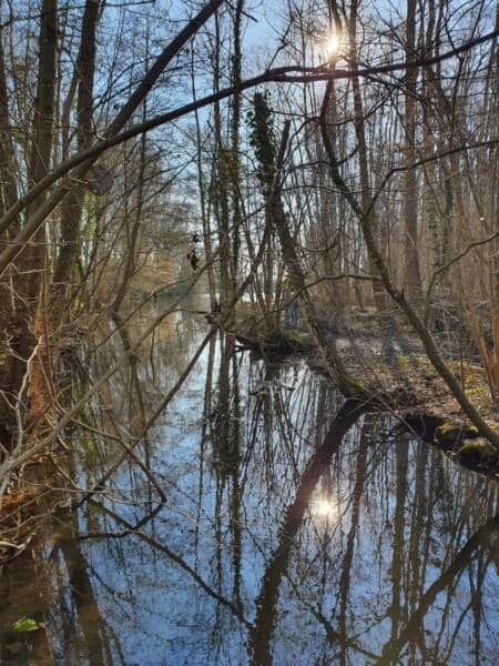 Wandertipps - Das Reservat und der Saint-Symphorien-Brunnen in Bonnelles