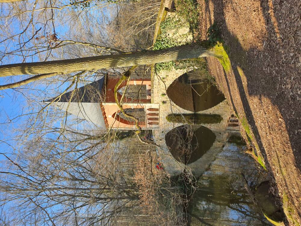 Rando conseil - La Réserve et la Fontaine Saint-Symphorien à Bonnelles