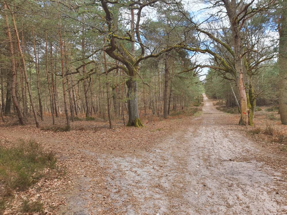 Wandeladvies op het spoor van de 4 draken Rochefort-en-Yvelines