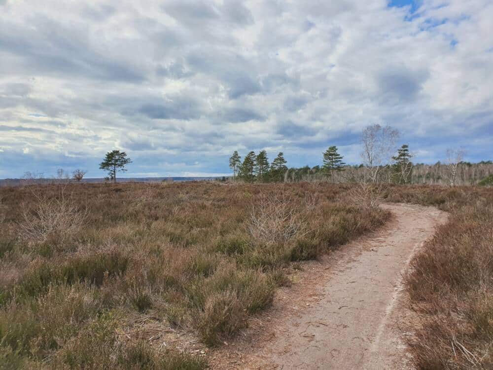 Conselhos de caminhada - a trilha dos 4 dragões em Rochefort-en-Yvelines