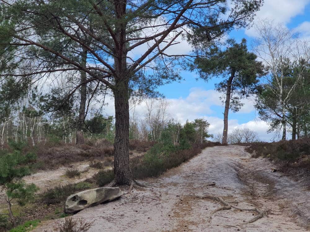 Wandeladvies op het spoor van de 4 draken Rochefort-en-Yvelines