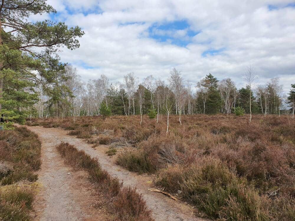 Hiking advice on the trail of the 4 dragons Rochefort-en-Yvelines