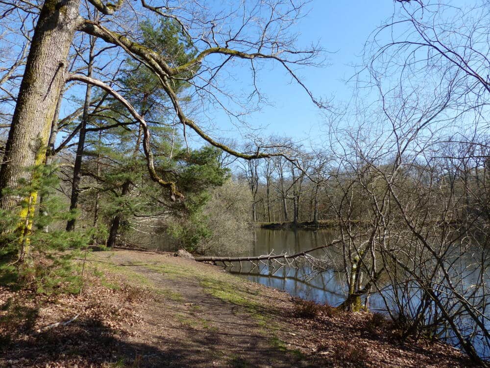 Wandertipps 3 Rundwege in Poigny-la-Forêt