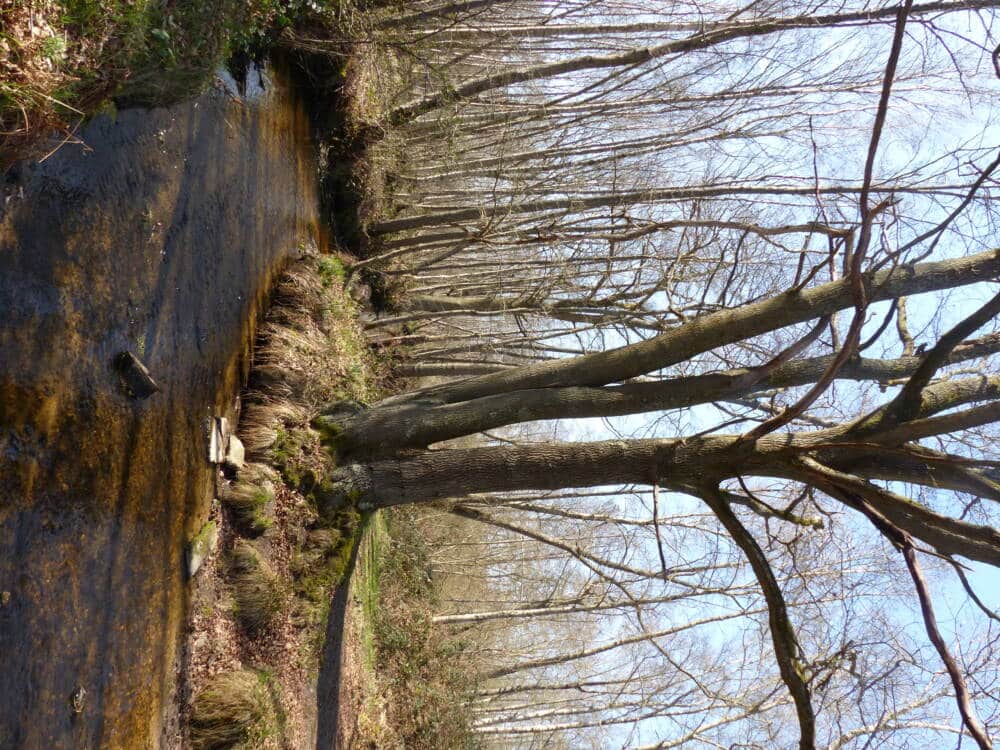 Rando conseil 3 circuits à Poigny-la-Forêt