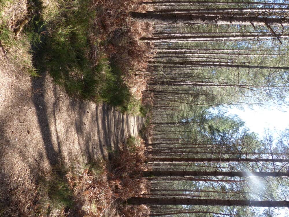 Rando conseil 3 circuits à Poigny-la-Forêt