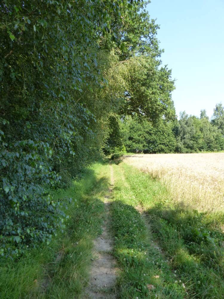 Rando conseil - Les moulins de la rémarde à Longvilliers