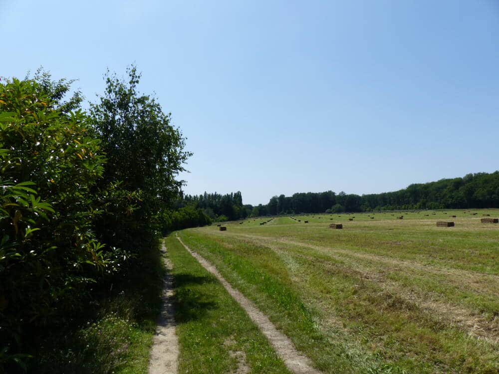 Rando conseil - Les moulins de la rémarde à Longvilliers