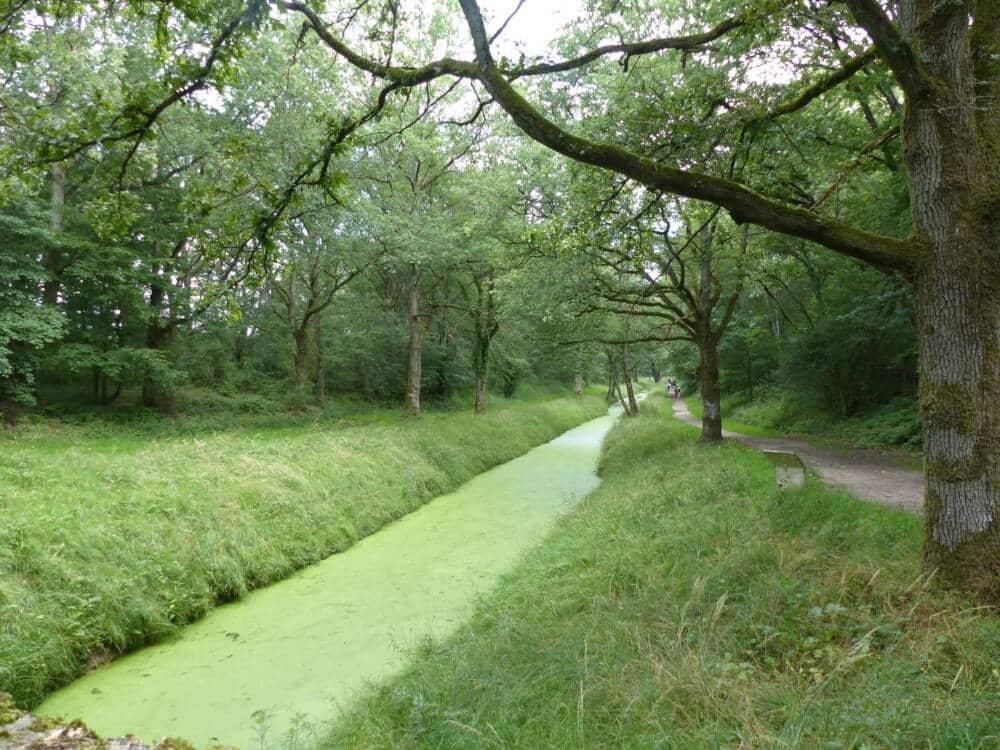 Wandeladvies - de koninklijke kanalen, koningin van de vlakten in Auffargis en Vieille-Eglise-en-Yvelines