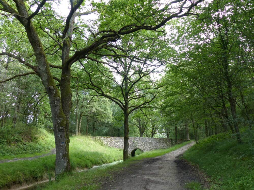 A rainha real da planície de Auffargis e VE ©OTCI 3 - Posto de Turismo de Rambouillet