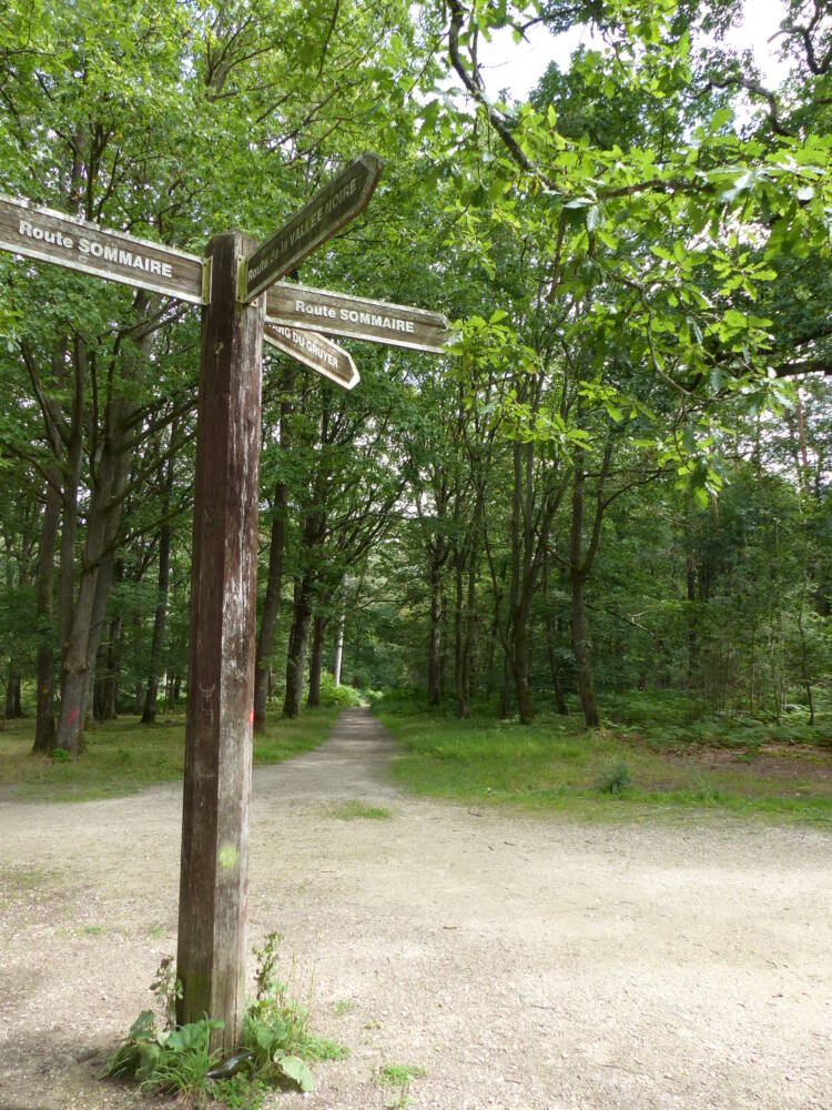 Conselhos para caminhadas - o lago Gruyer em Perray-en-Yvelines