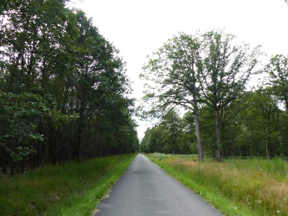 Conselhos para caminhadas - o lago Gruyer em Perray-en-Yvelines