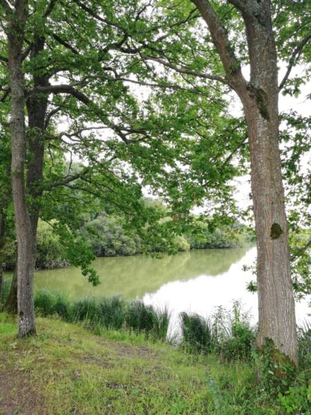 Conselhos para caminhadas - Observação nas lagoas reais em Perray-en-Yvelines