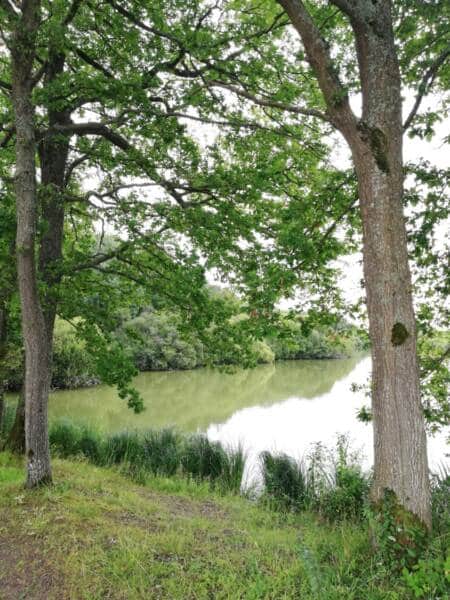 Wandeladvies - Observatie bij de koninklijke vijvers in Perray-en-Yvelines