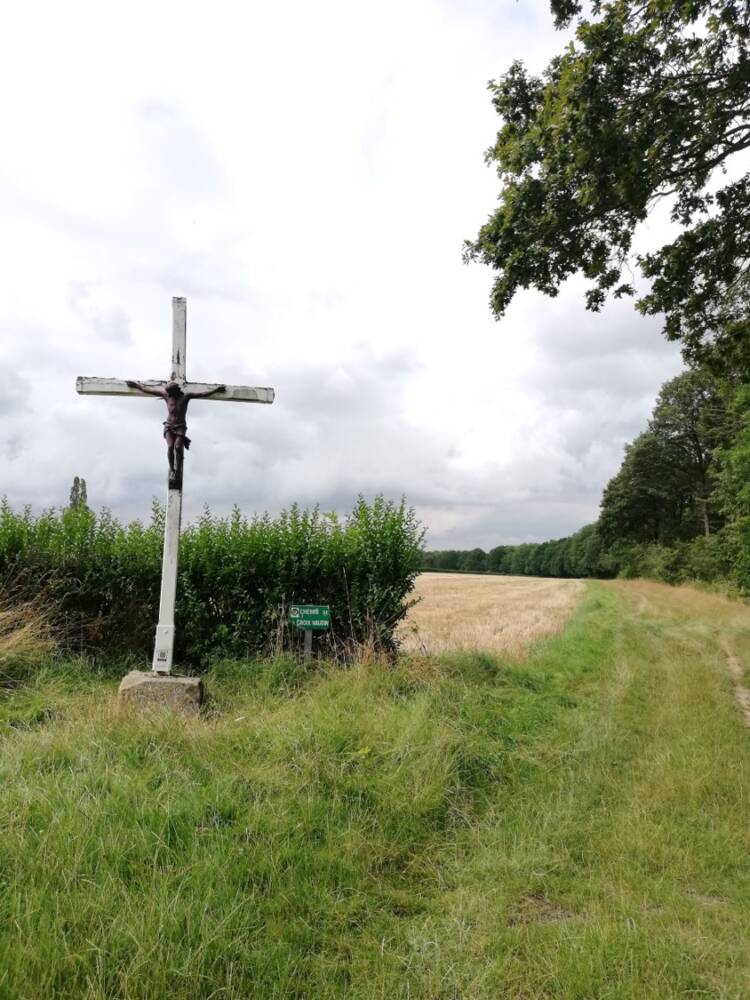 Rando conseil - Observation aux étangs royaux Le Perray-en-Yvelines