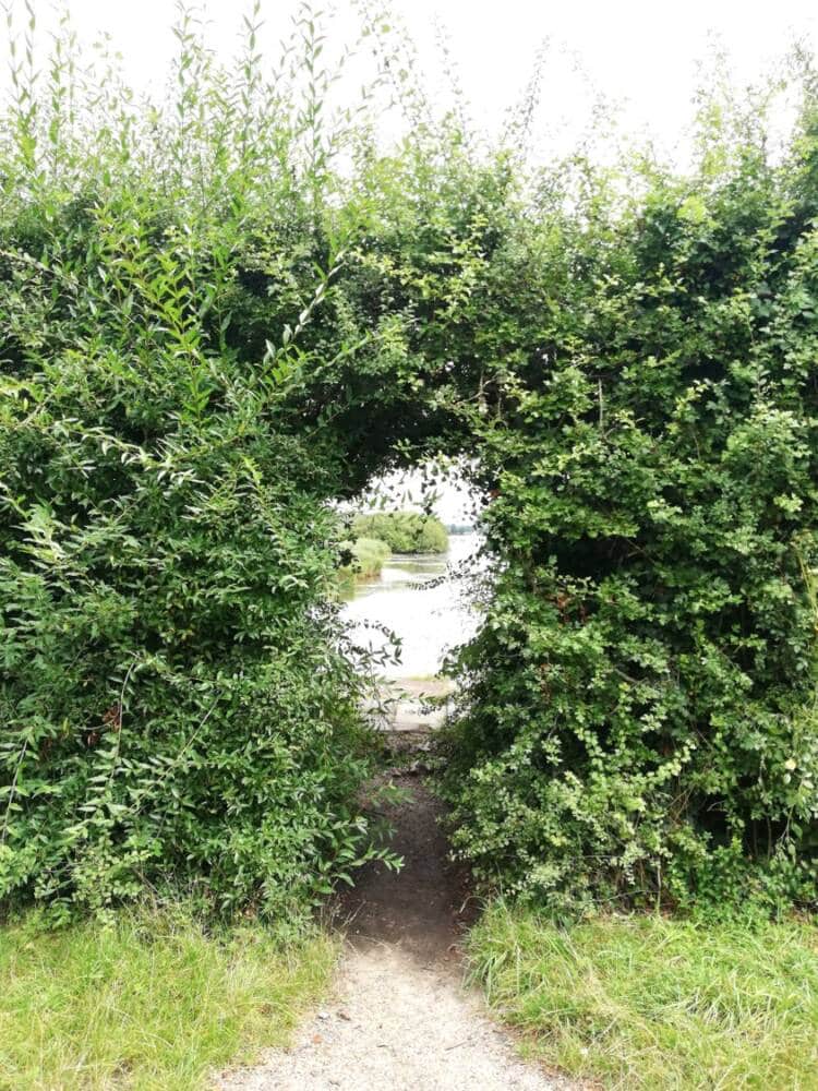 Rando conseil - Observation aux étangs royaux Le Perray-en-Yvelines