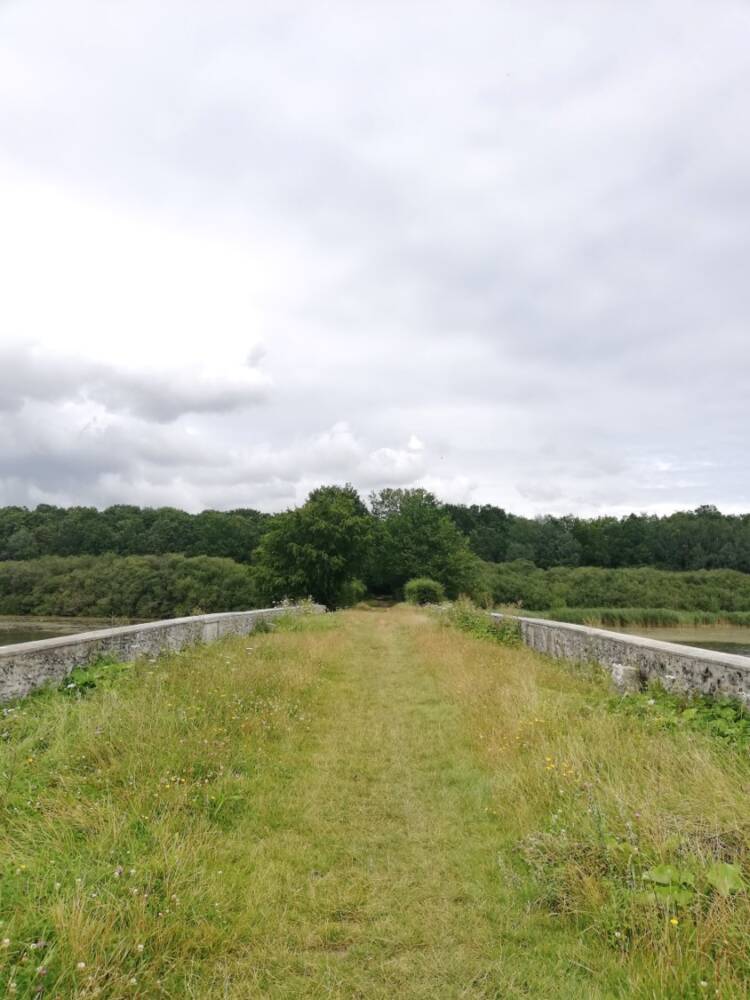 Rando conseil - Observation aux étangs royaux Le Perray-en-Yvelines