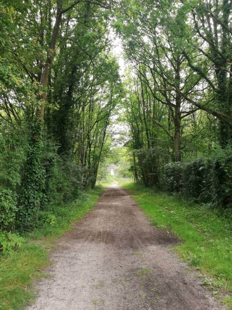 Rando conseil - Observation aux étangs royaux Le Perray-en-Yvelines